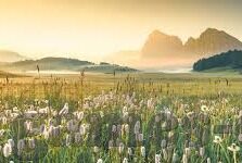开云平台登录-开云平台登录体验与优化建议
