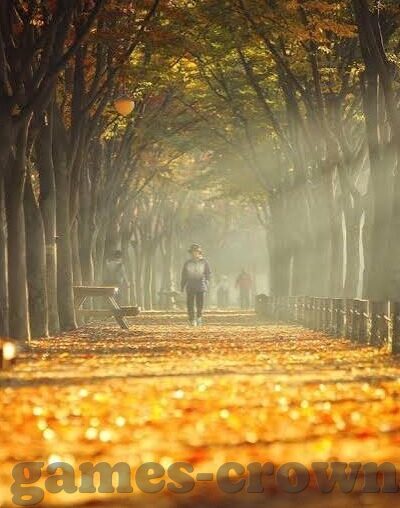 开云体育是什么公司-探索开云体育，一家体育产业的革新先锋